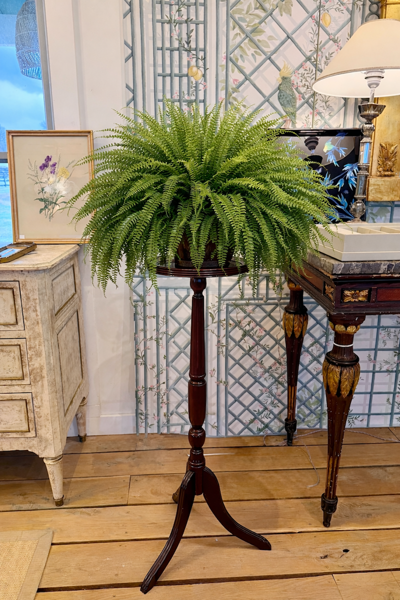 Cherry Pedestal Plant Stand