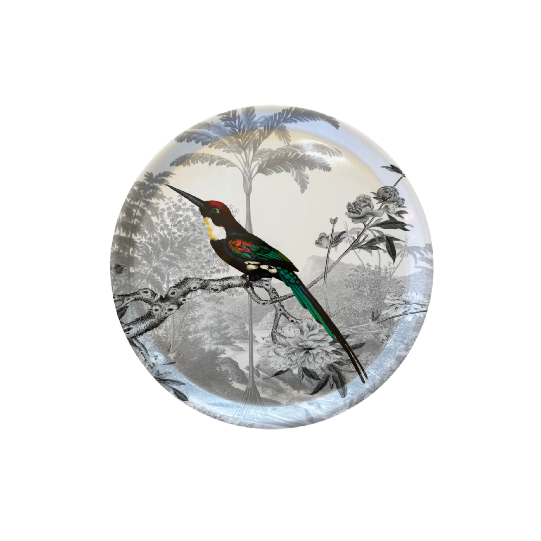 Round Jacamar Tray by Paradisio