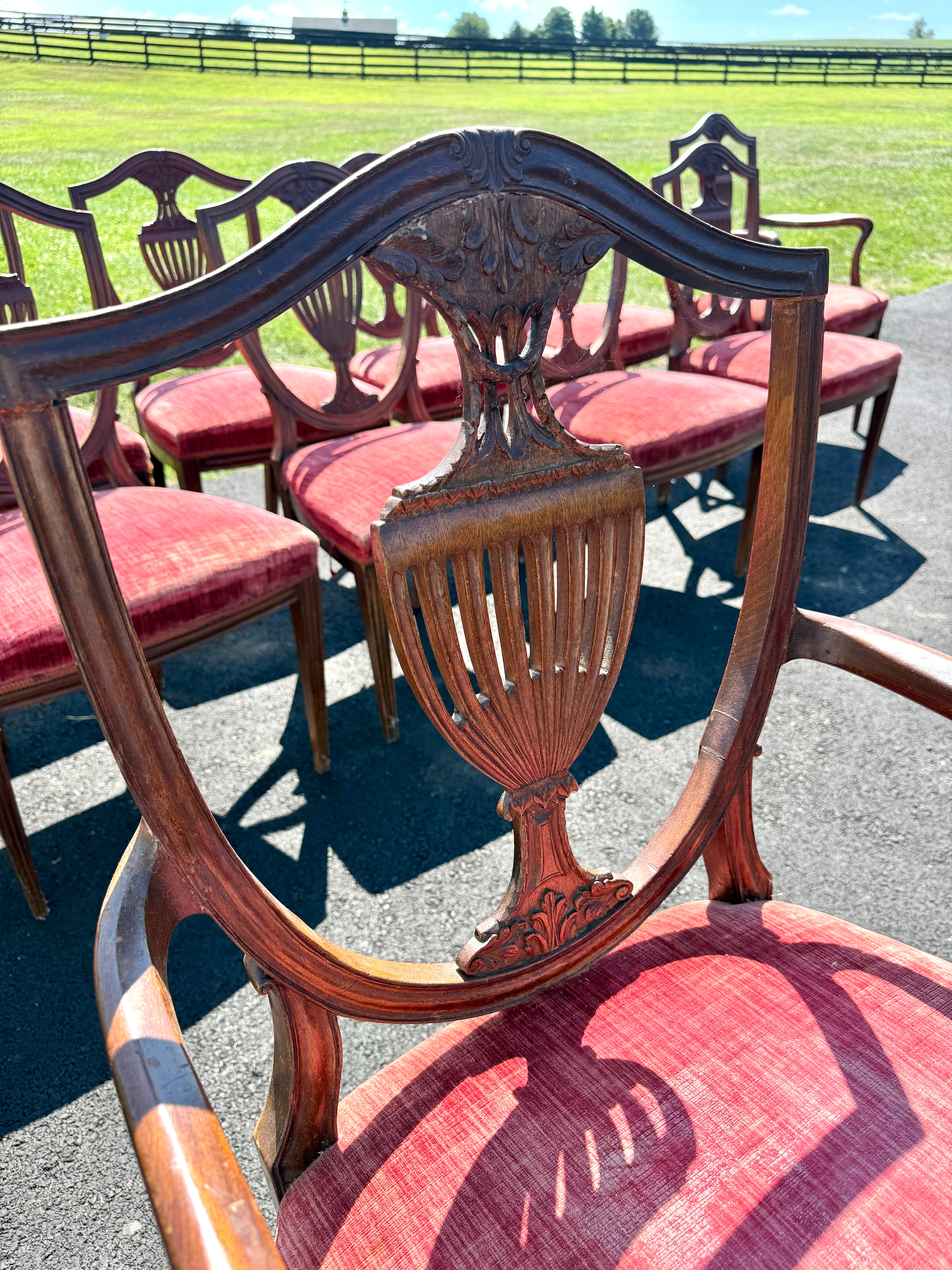 Antique English Dining Chairs Hepplewhite Style