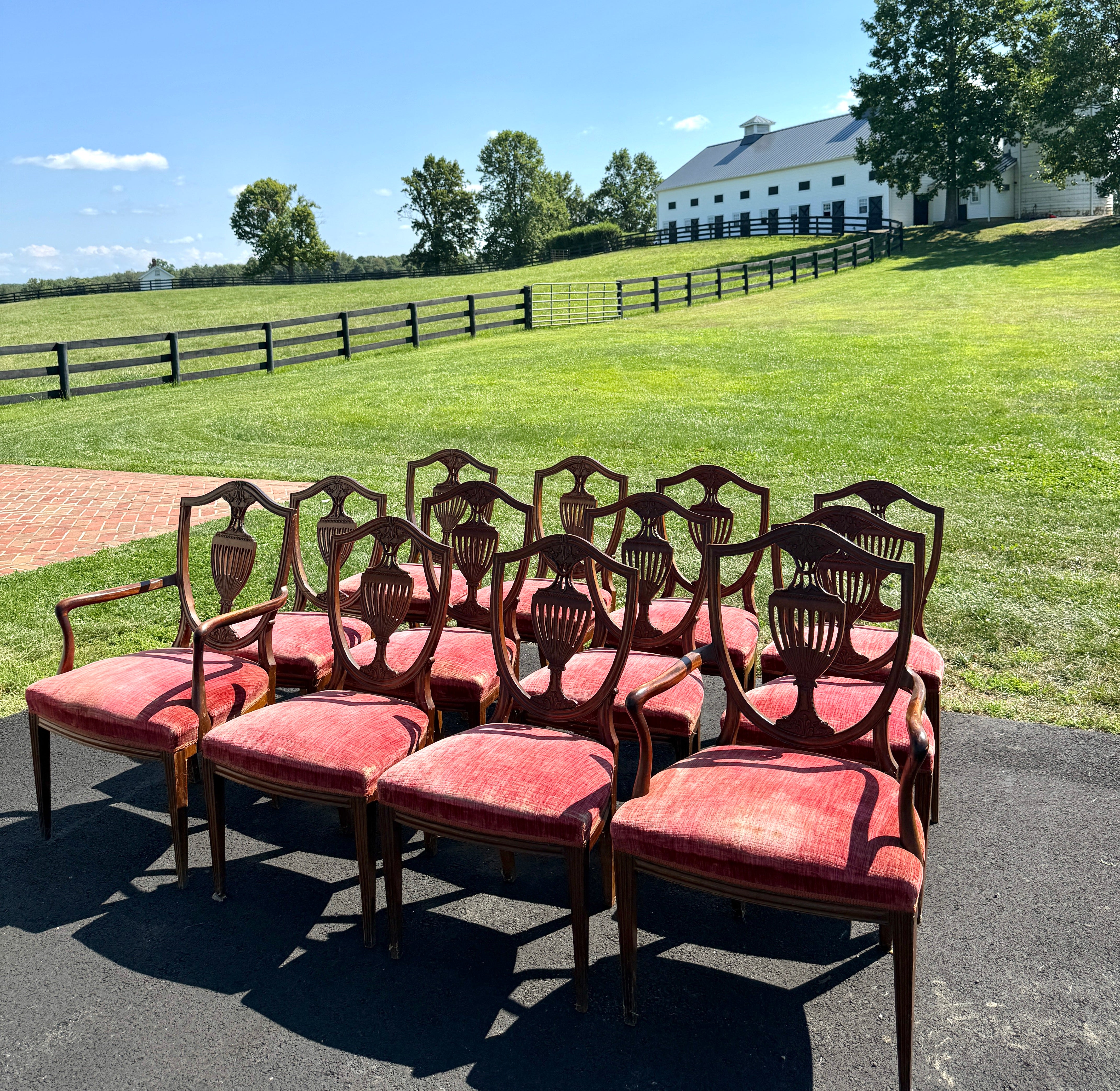 Antique English Dining Chairs Hepplewhite Style