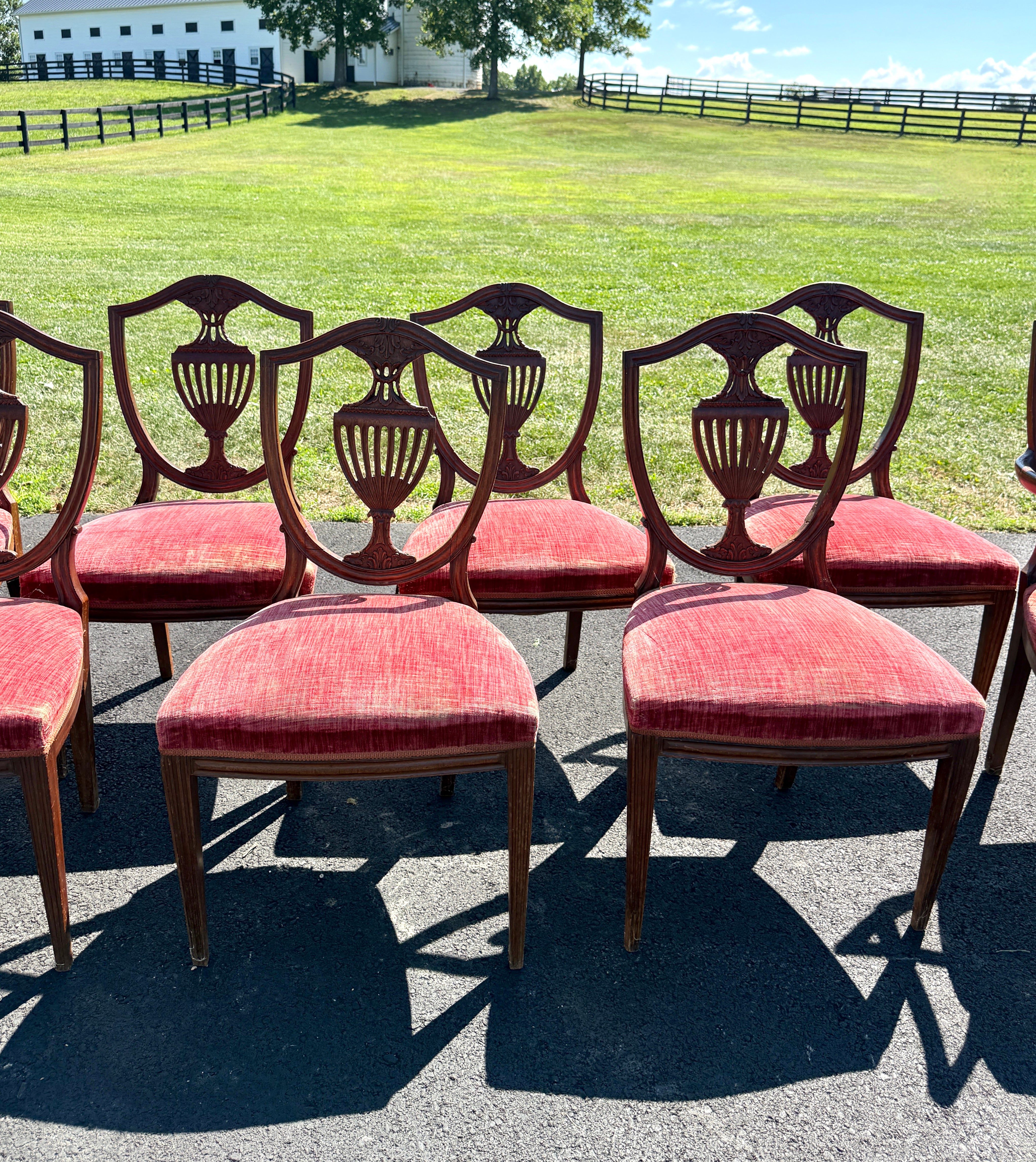 Antique English Dining Chairs Hepplewhite Style