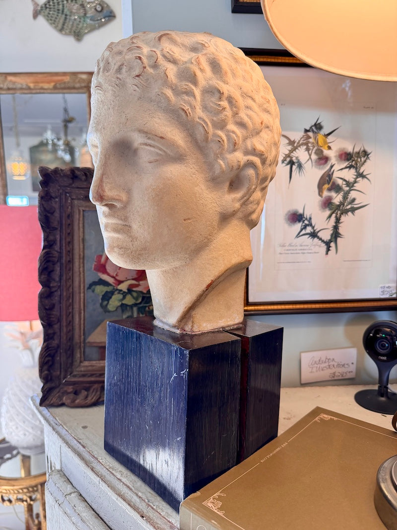 Handsome Antique Head Sculputure