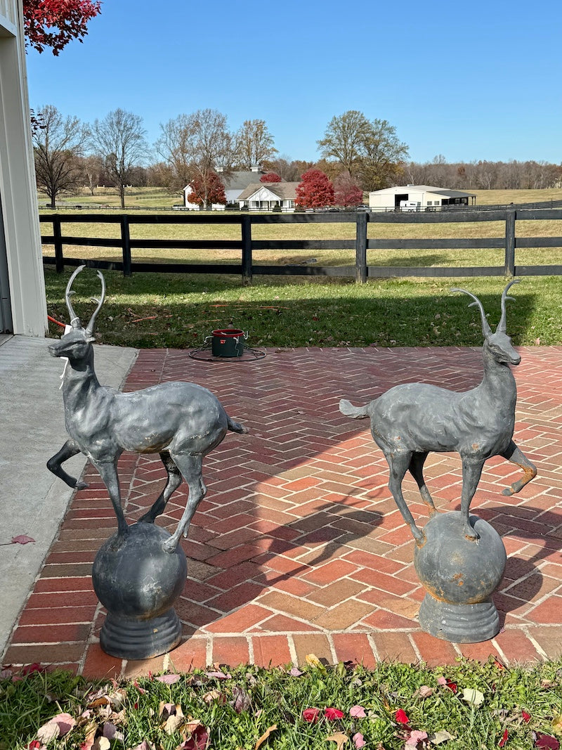 Pair of English Vintage Majestic Stags - Indoor or Outdoor