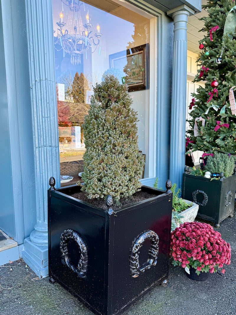 Antique French Pair of Planters with Black High-Gloss Paint