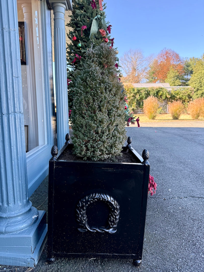 Antique French Pair of Planters with Black High-Gloss Paint