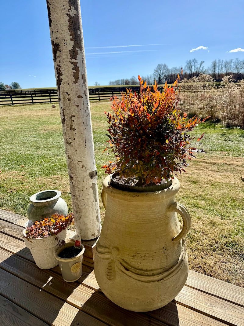 Classic Terracotta Planters from Provence