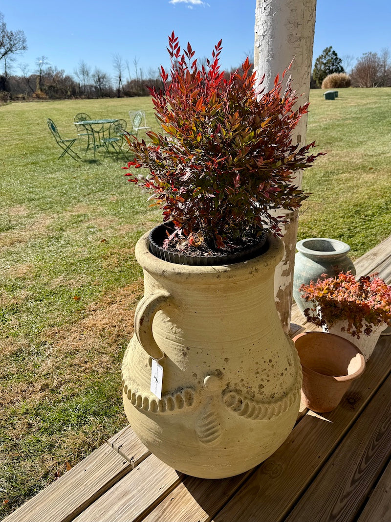 Classic Terracotta Planters from Provence