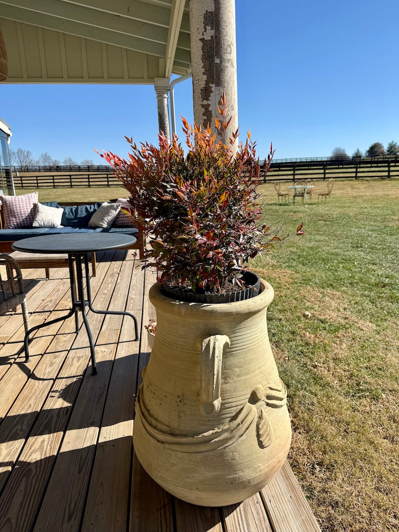 Classic French Terracotta Planters from Provence