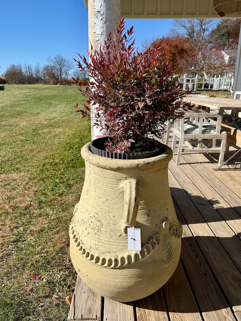 Classic French Terracotta Planters from Provence