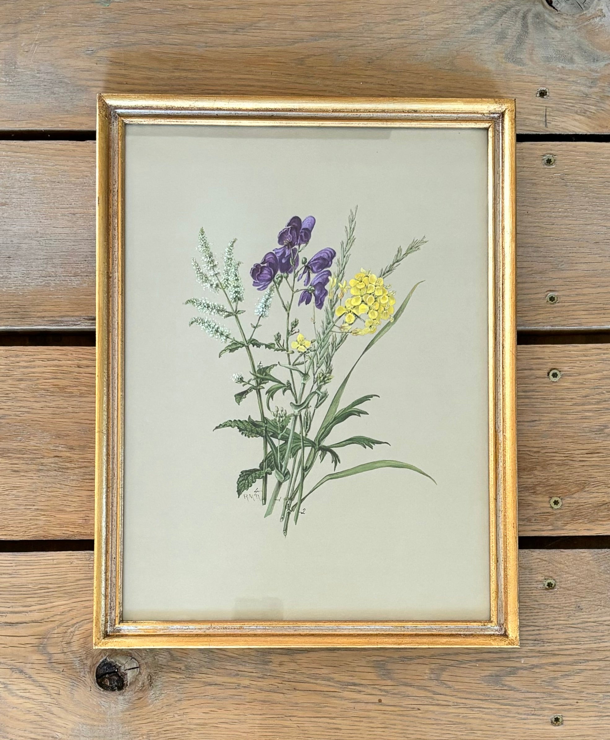 Botanical Floral Print