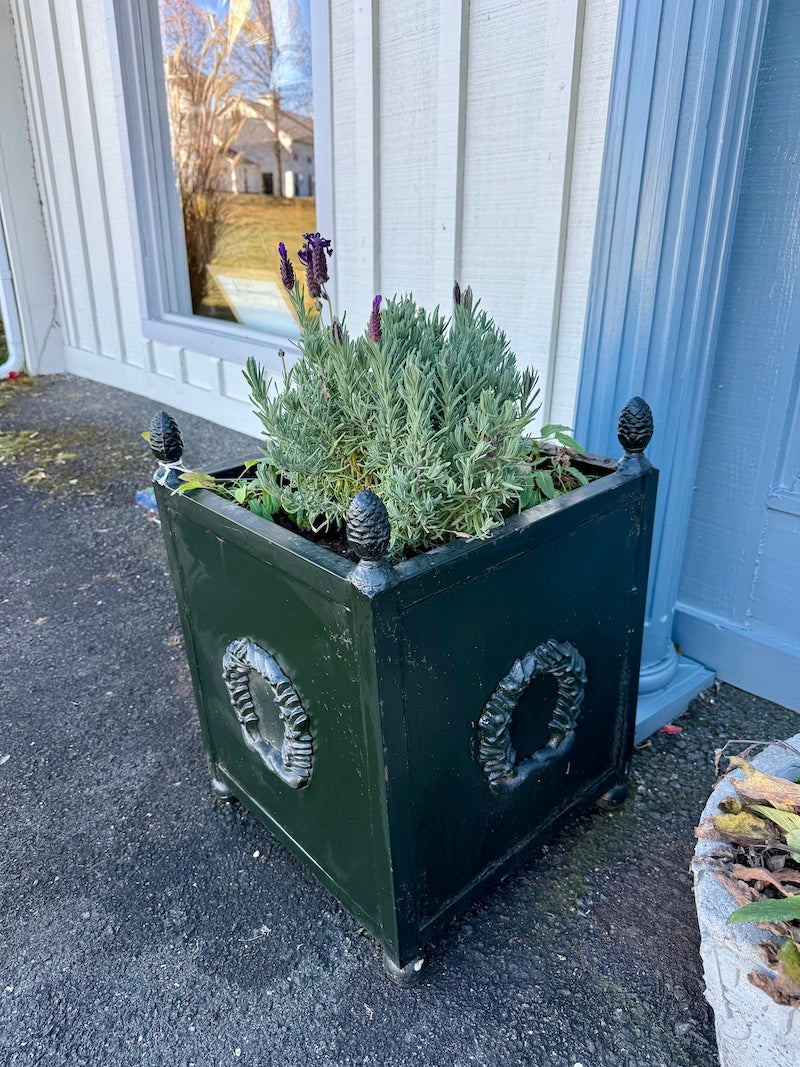 Antique French Pair of Dark Green Planters