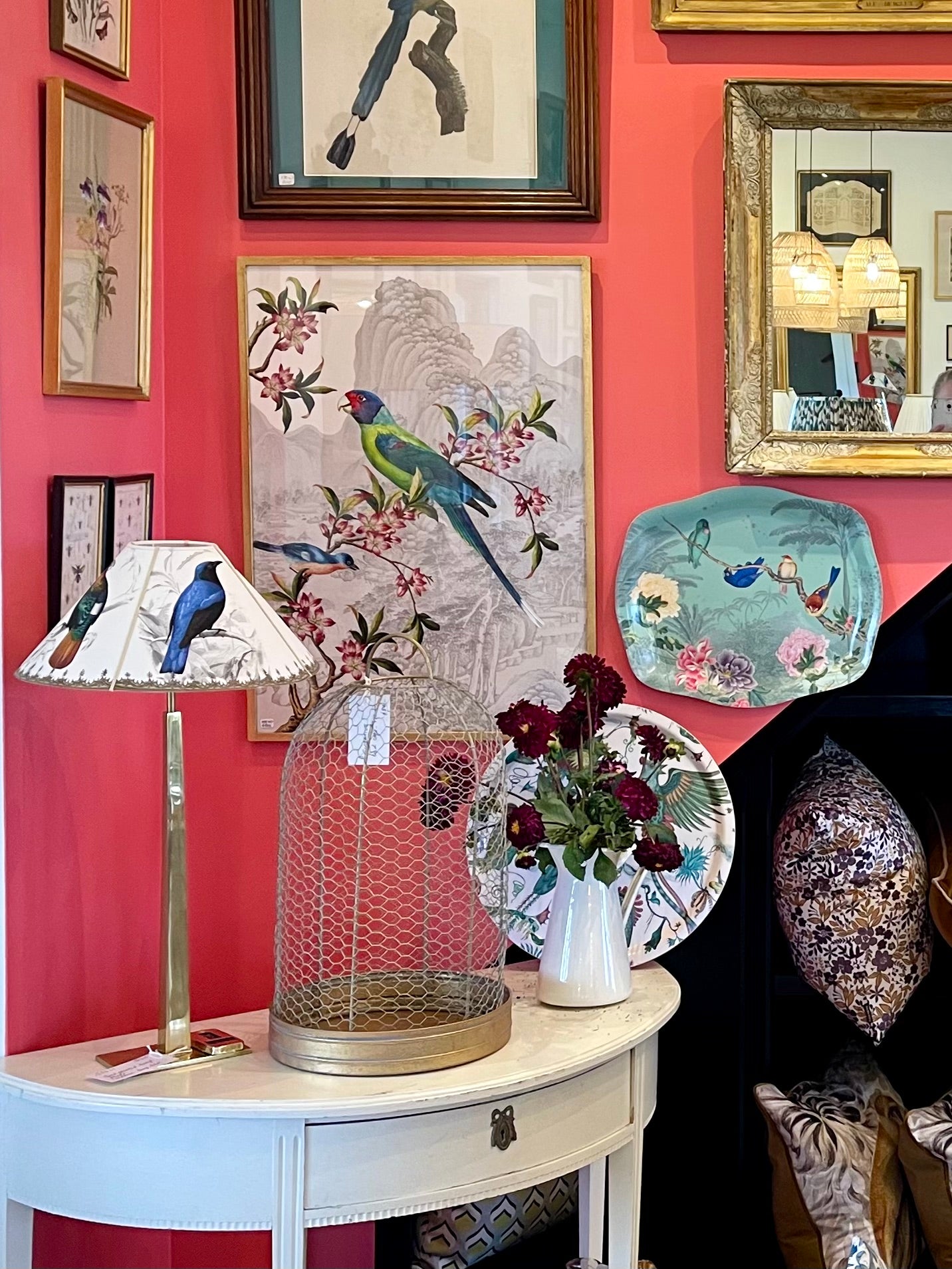 French Design Vibrant Parakeet Illustration