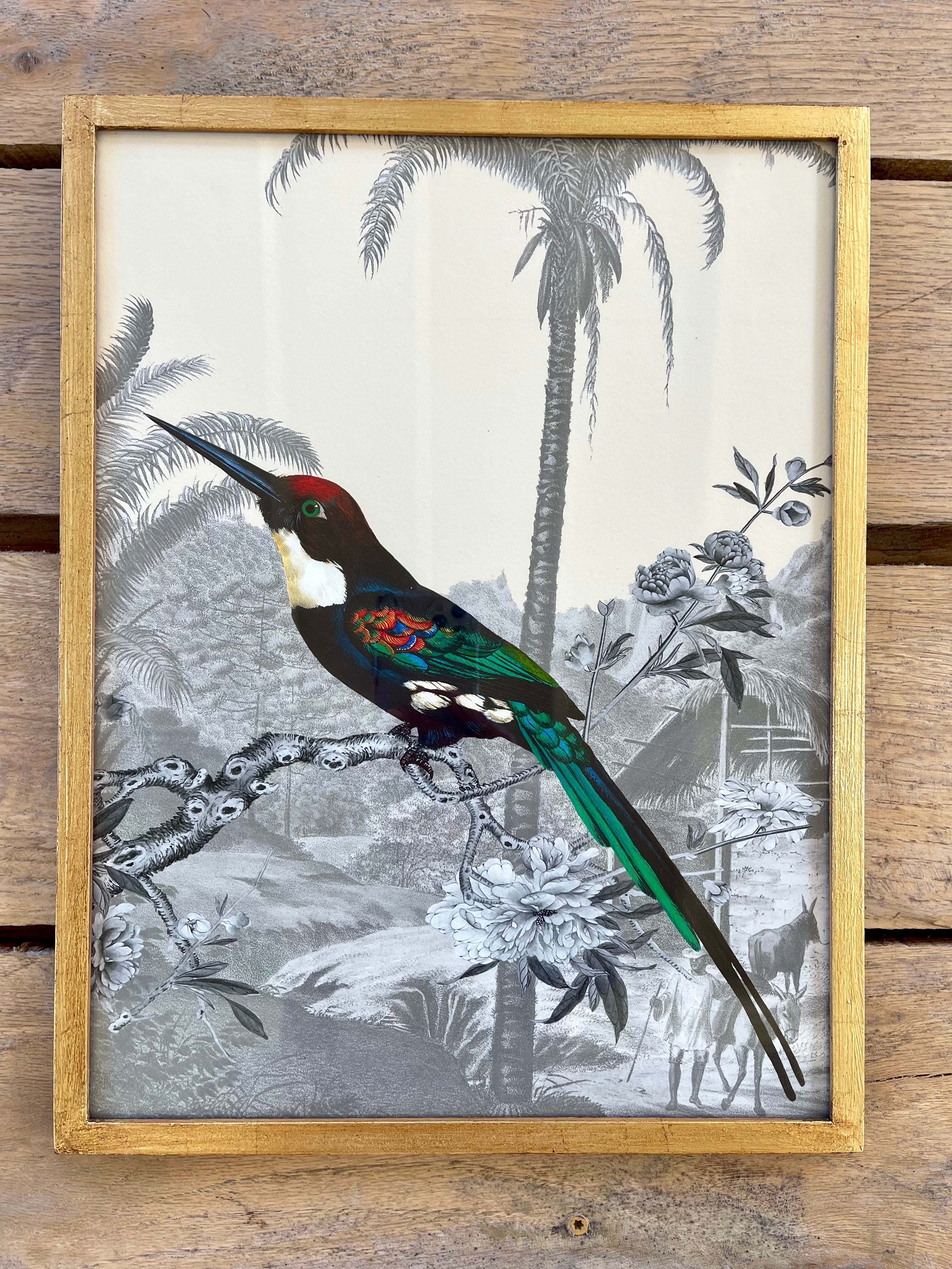 French design Jacamar Emerald Illustration in Gilded Custom Made Frame