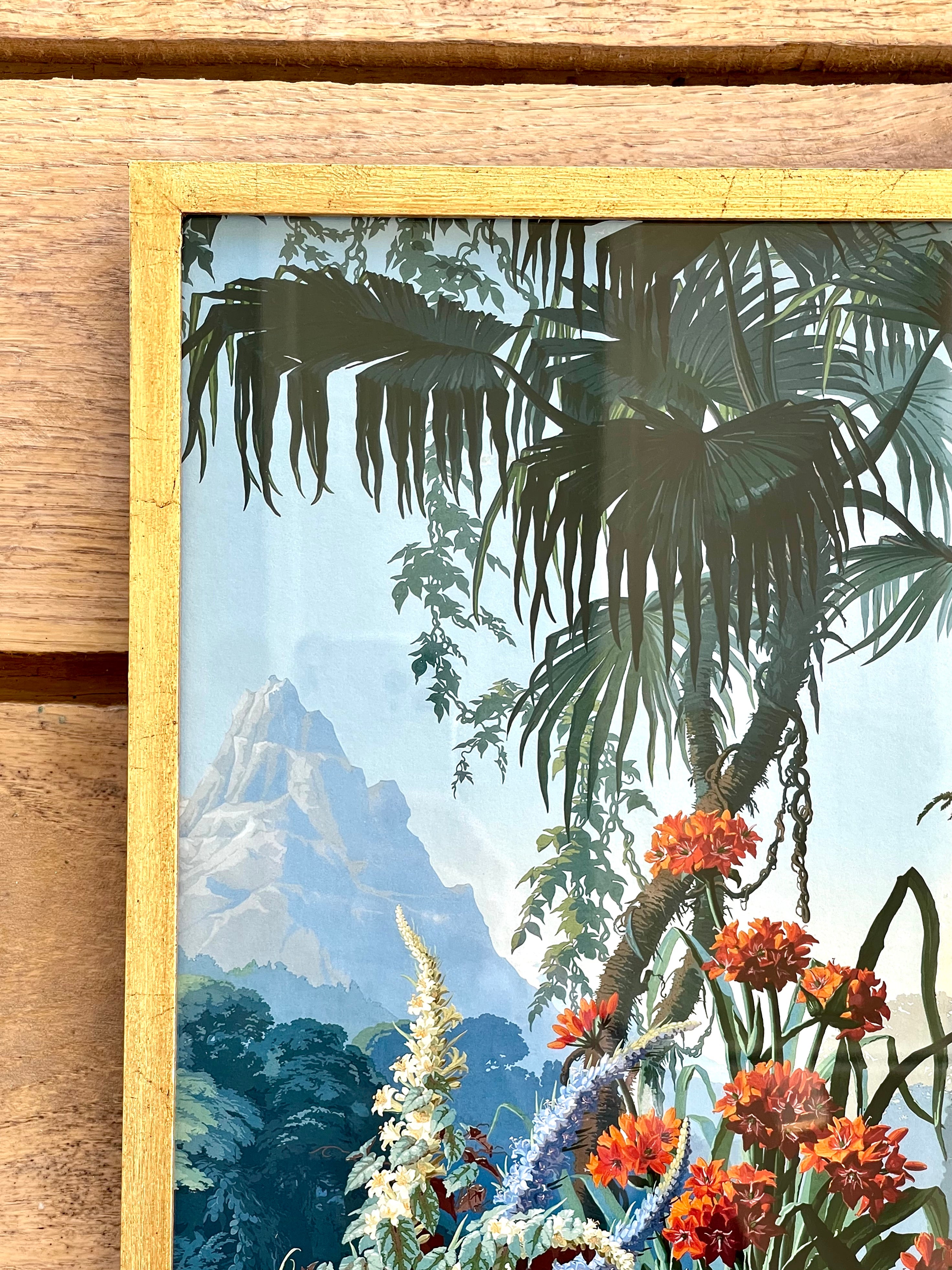 French Design Garden of Eden Illustration