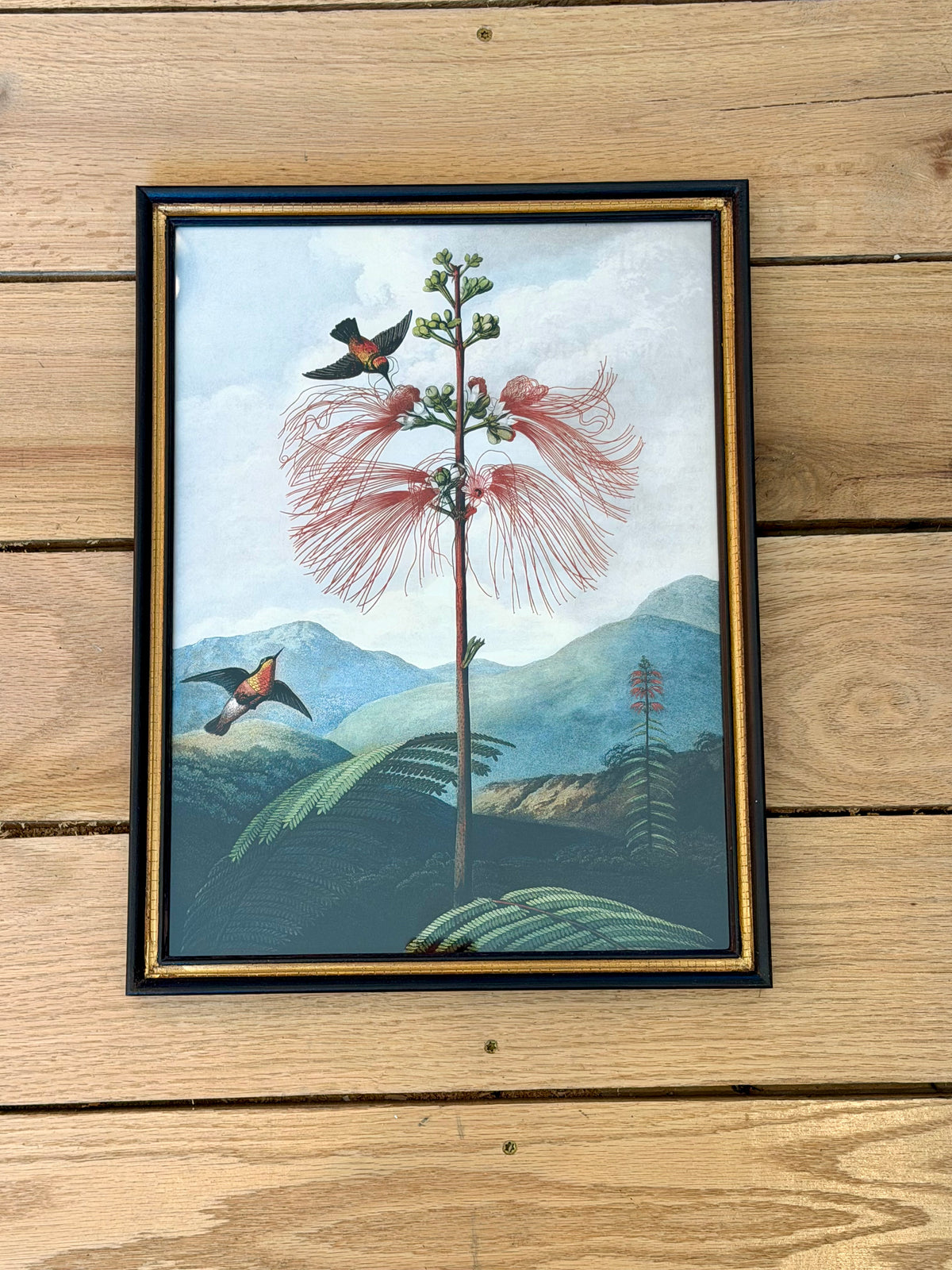 Danish Botanical Print