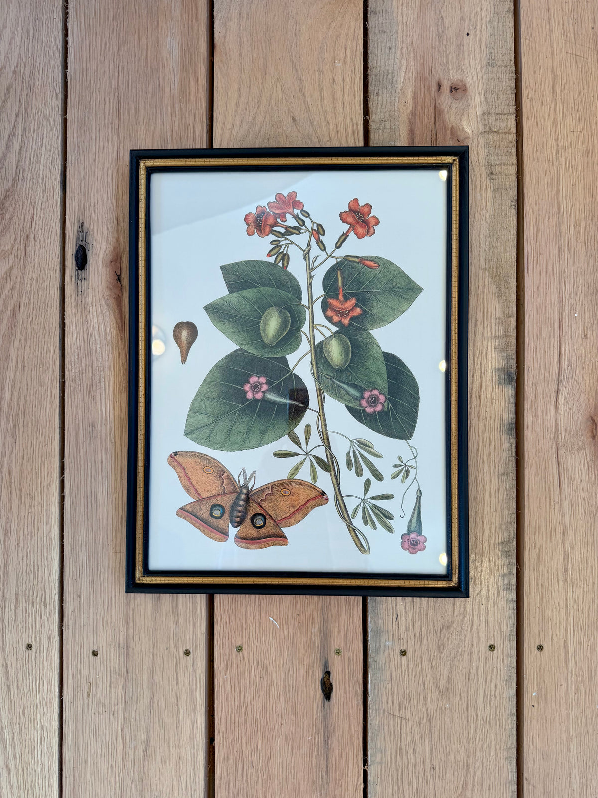 Danish Botanical Print