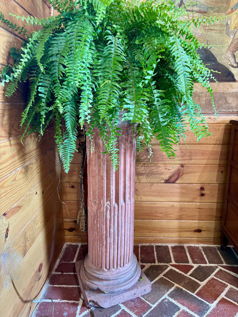 CLASSIC Terra Cotta Columns column against a wooden wall.