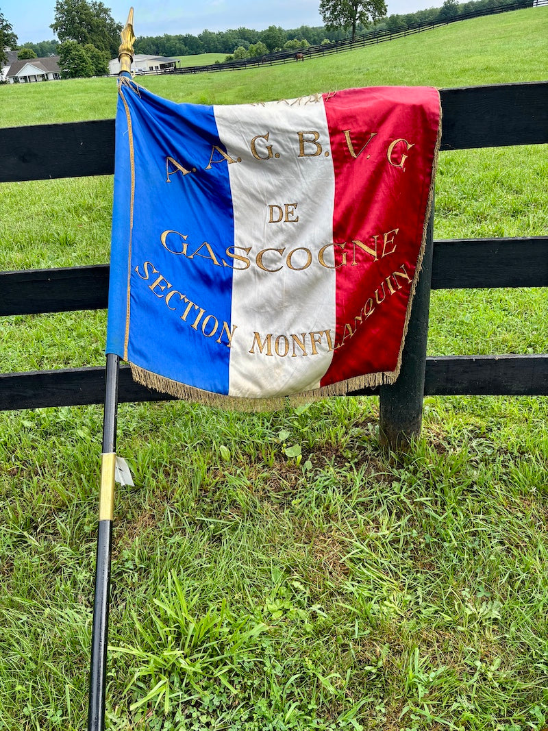 Antique French Flag