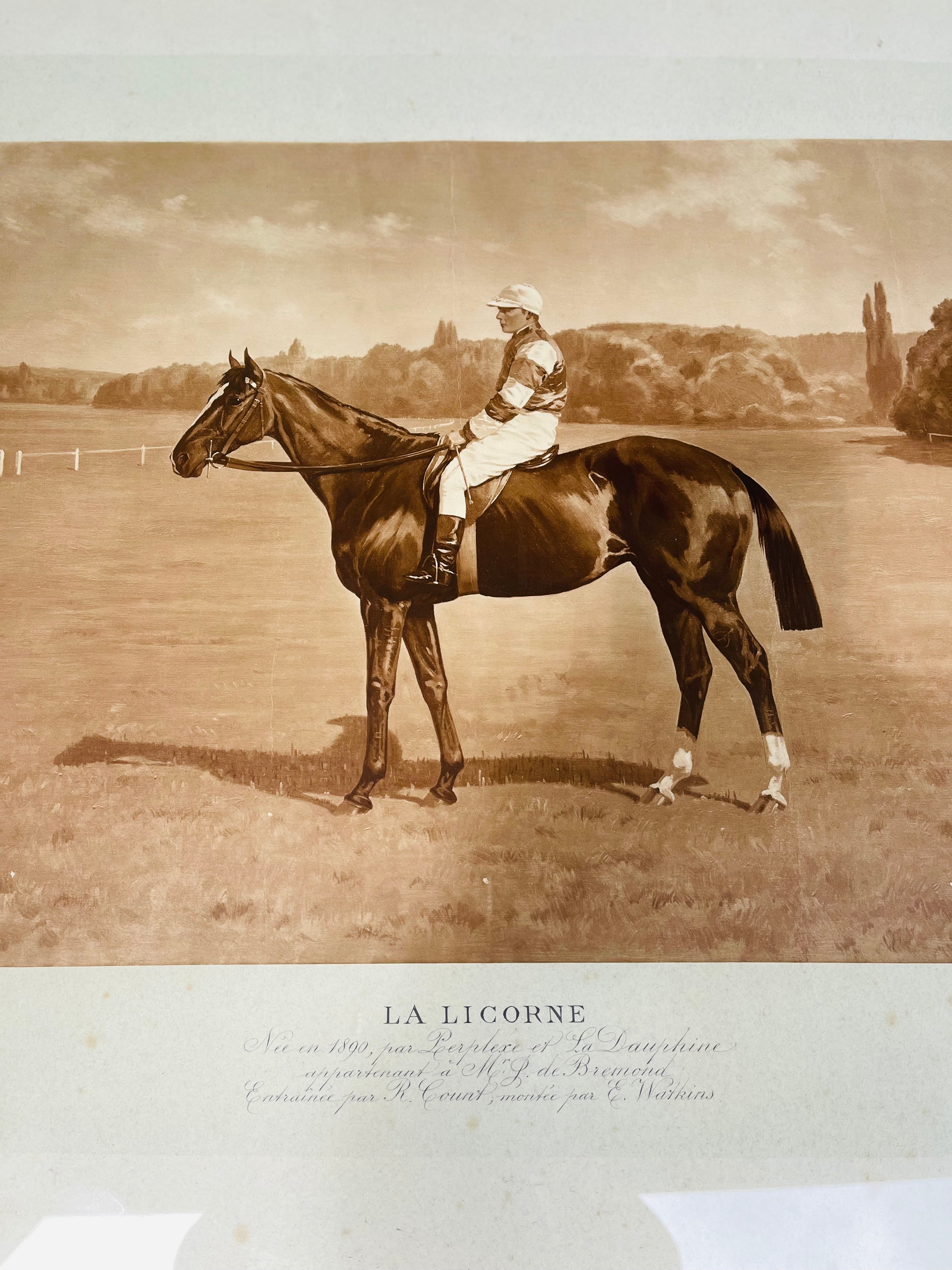 Antique French Photograph of Jockey in Custom made Frame