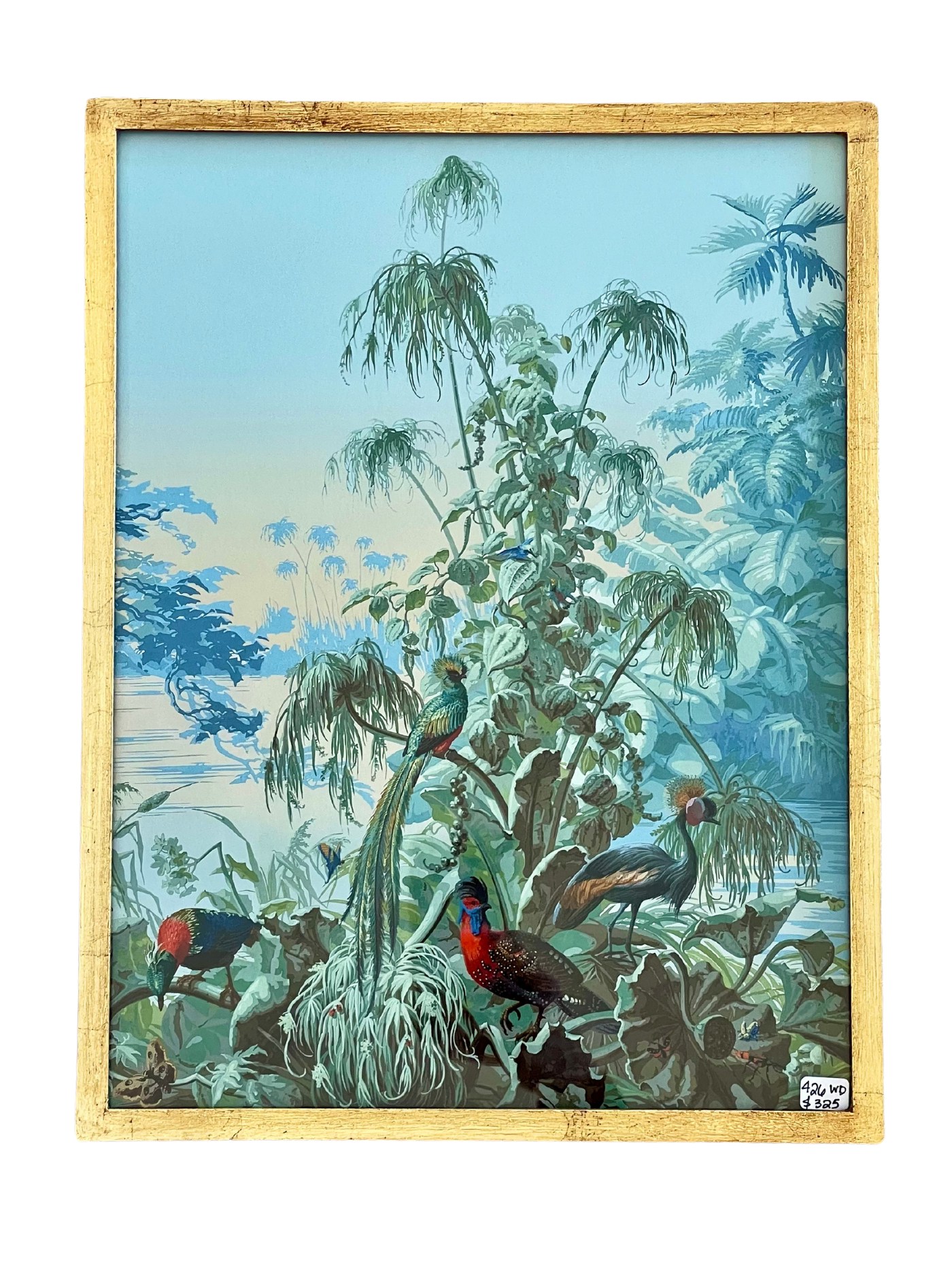French Design Exotic illustration of Brazil