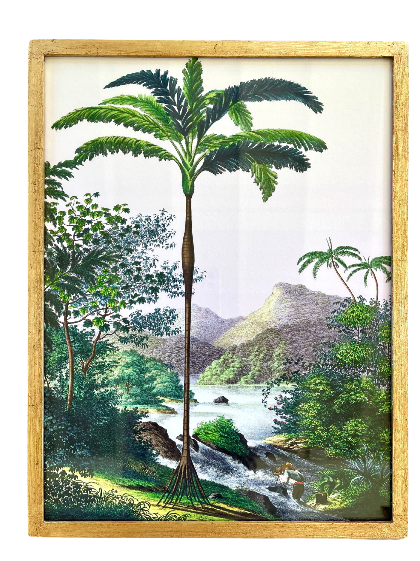 French Design Rio Japura llustration in Custom-made Gilded Frame