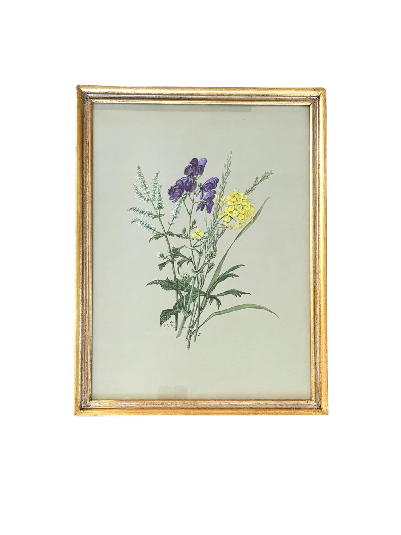 Botanical Floral Print