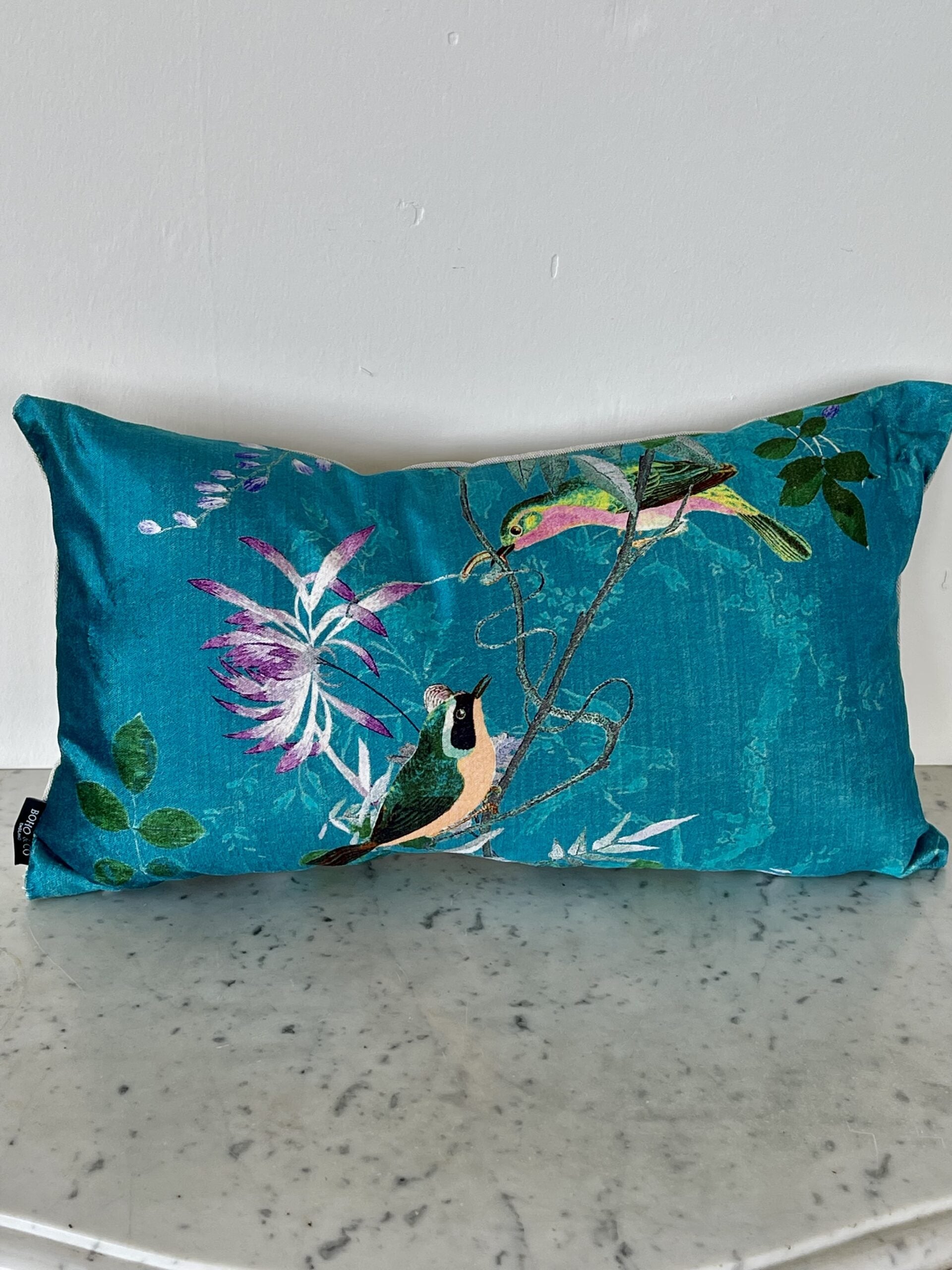 100DOJardín de Oiseaux Bleu1