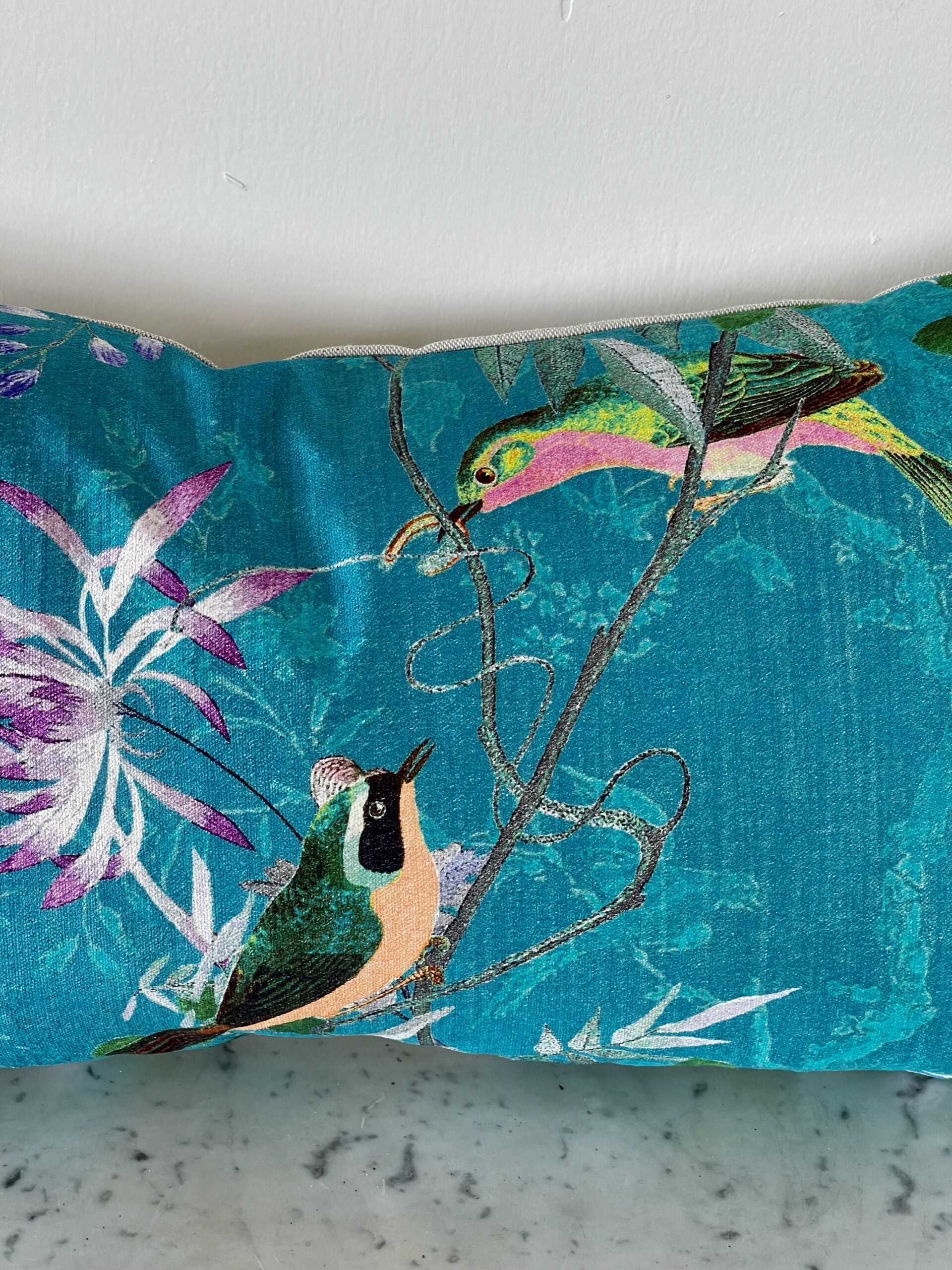 100DOJardín de Oiseaux Bleu2