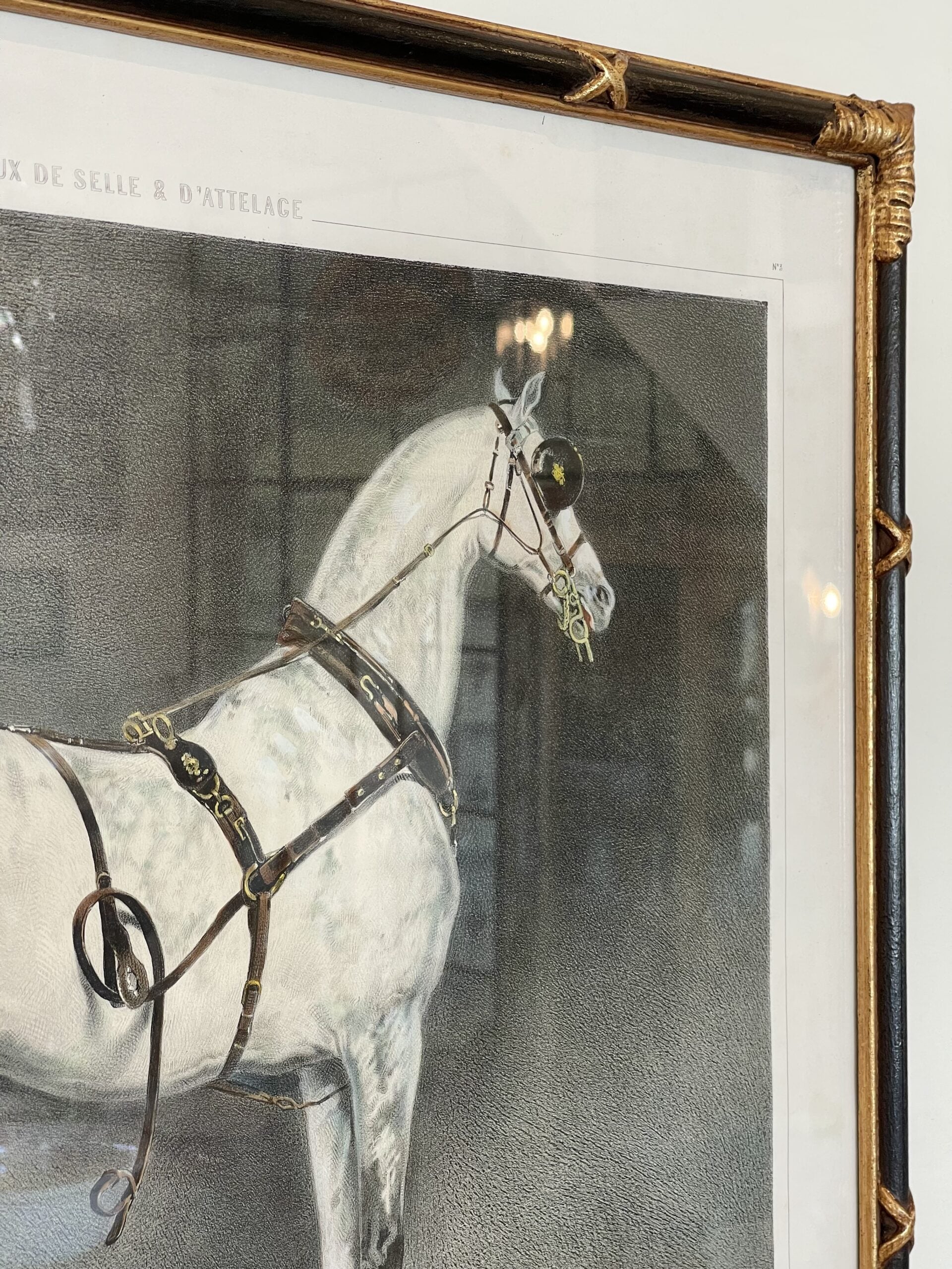 109WD CaballoBlanco2