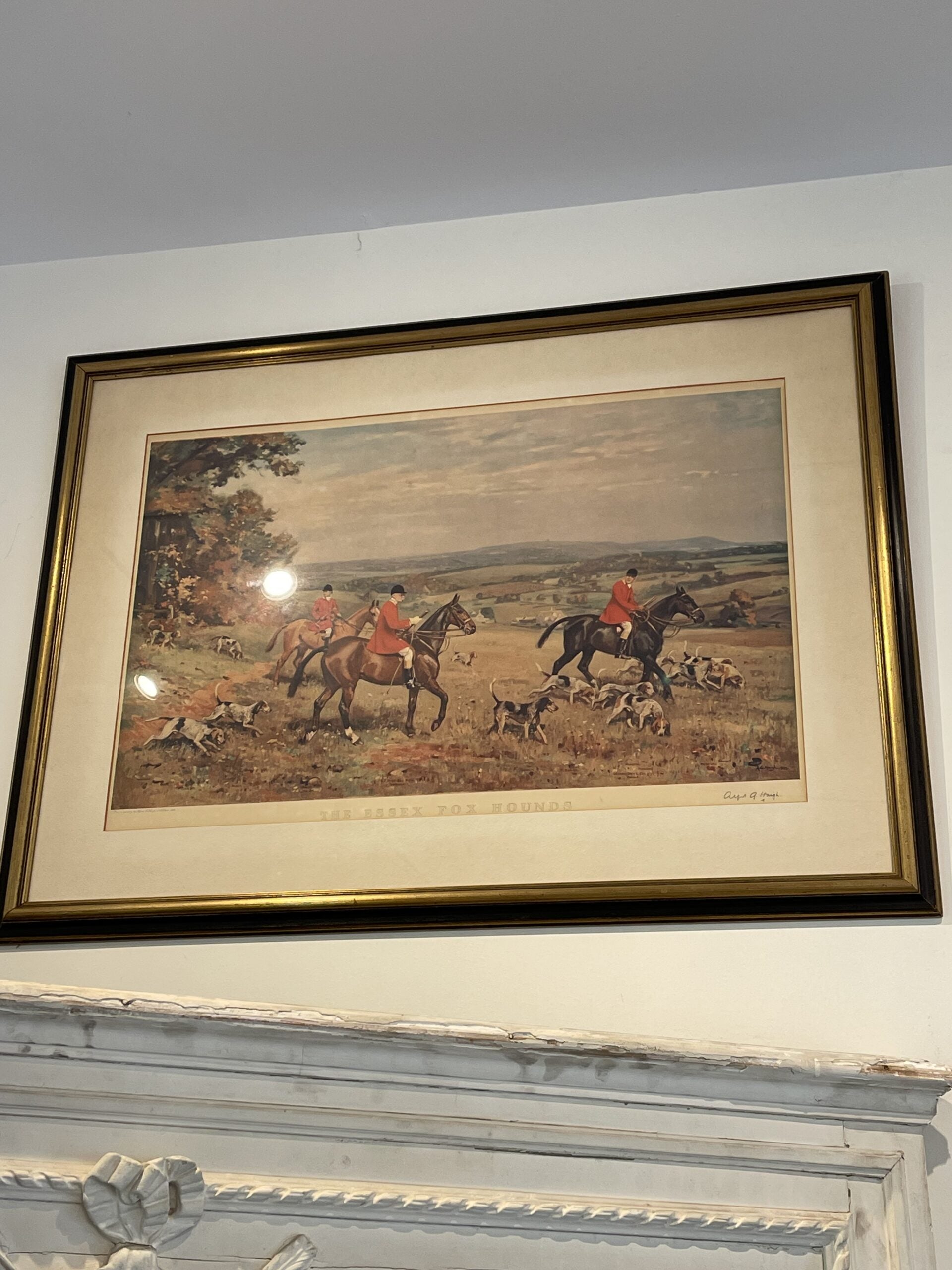 264WDEssexFoxHounds1