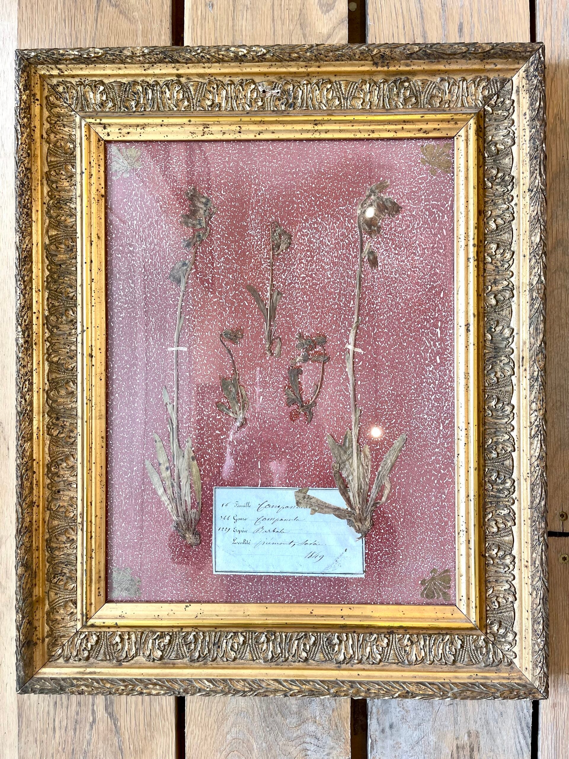 278WDPinkBotanicals3