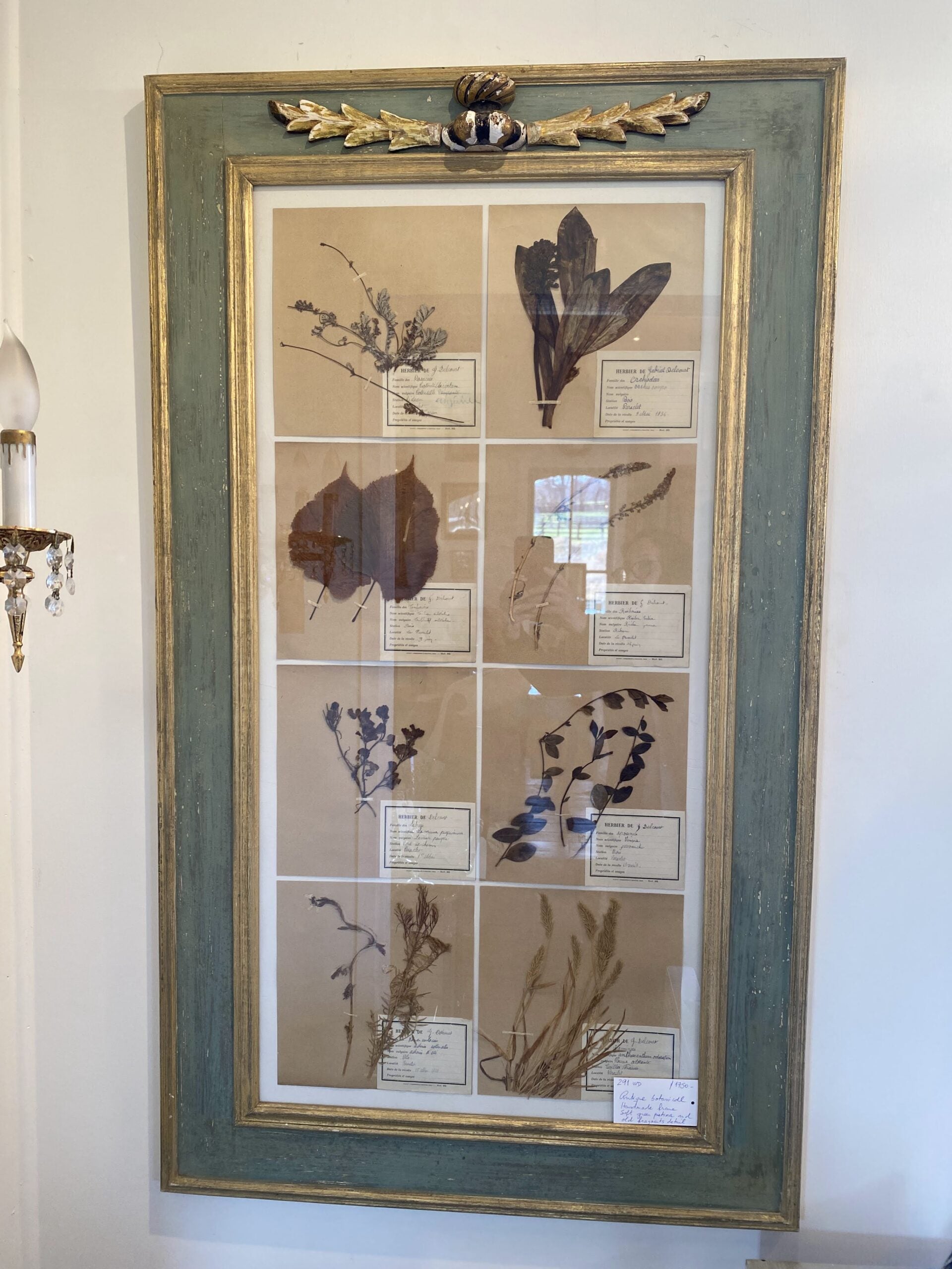 280WDPairBotanicalsGreenFrame5