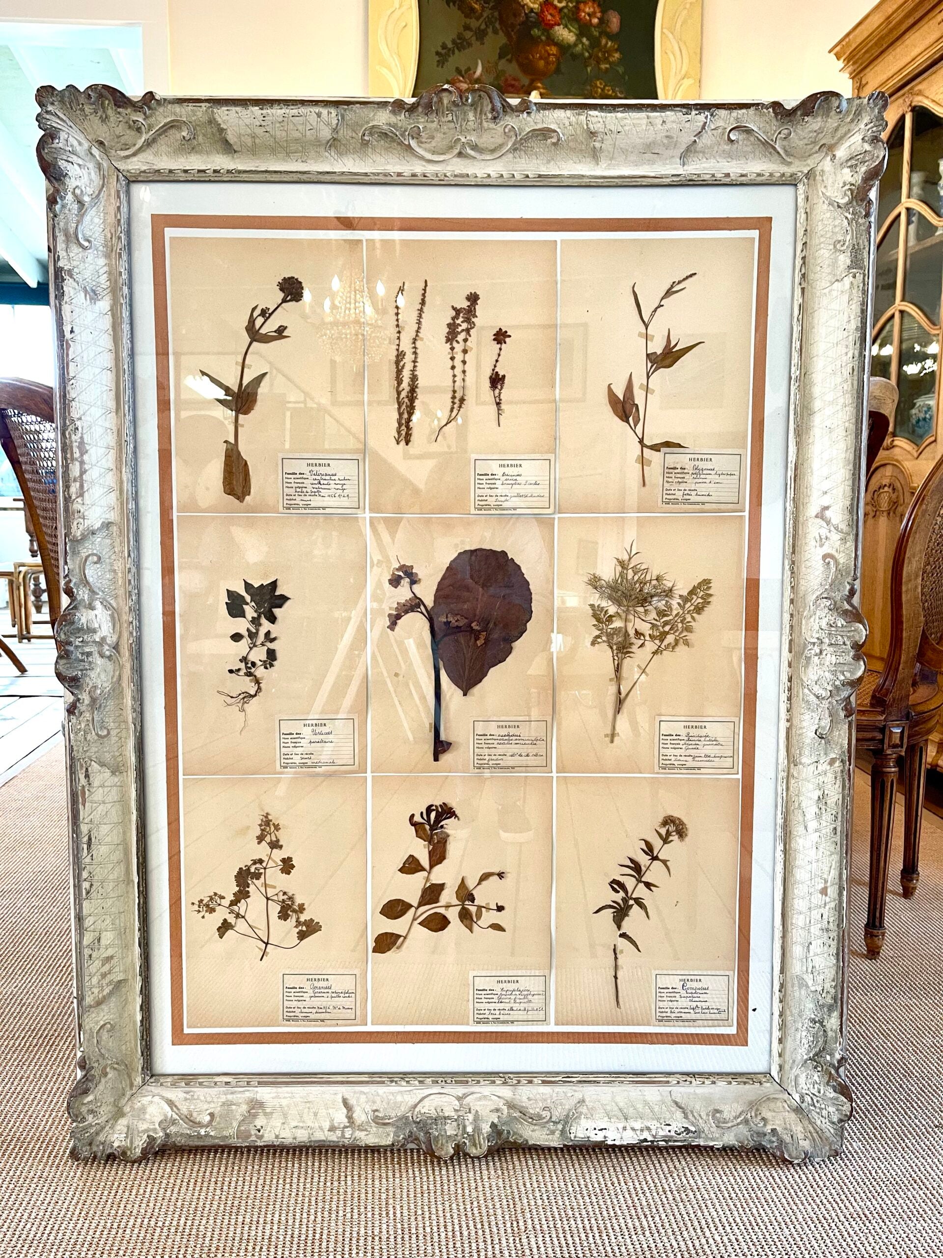 282WDBotanicalCreamAntiqueFrame1