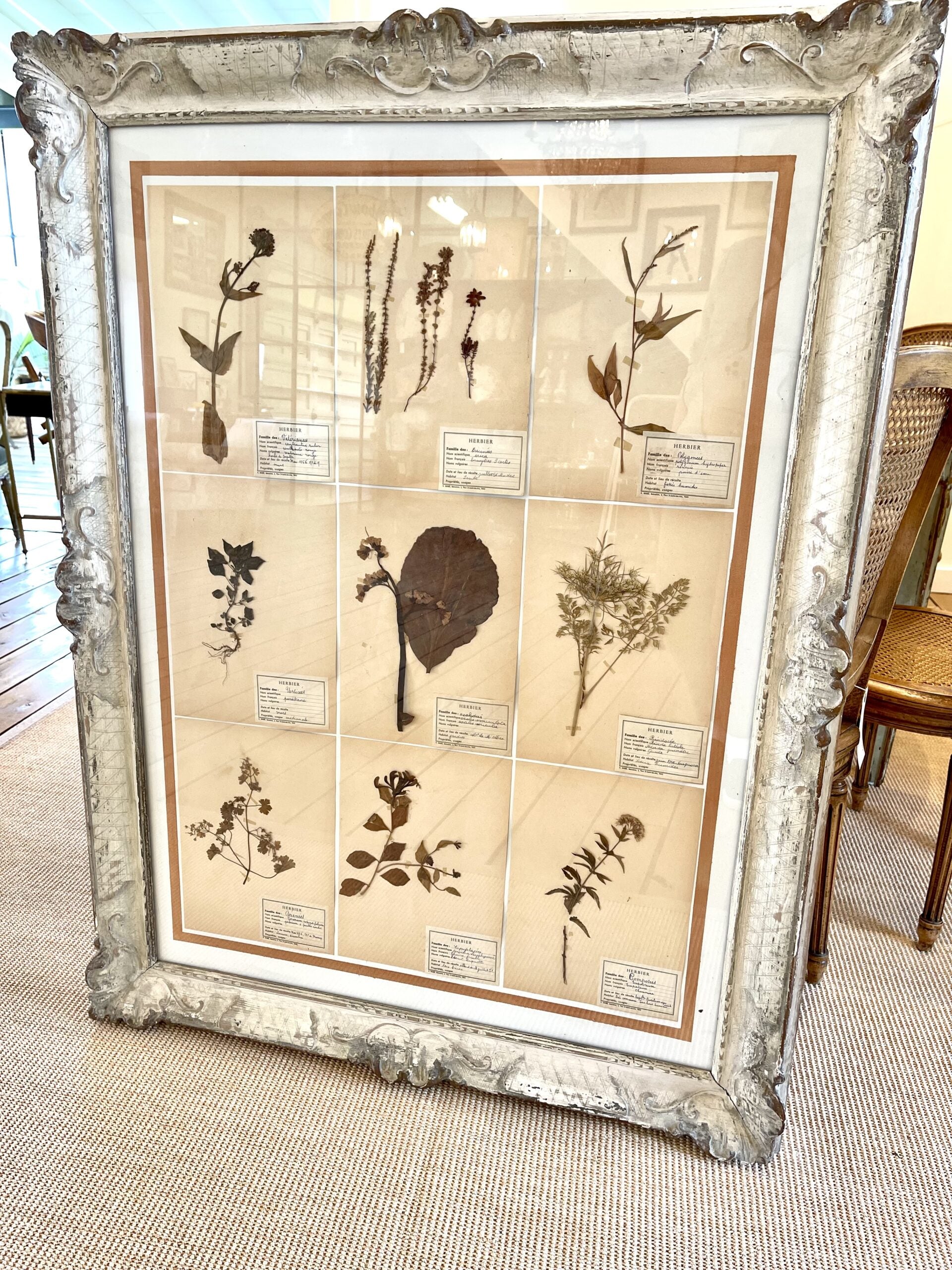 282WDBotanicalCreamAntiqueFrame2