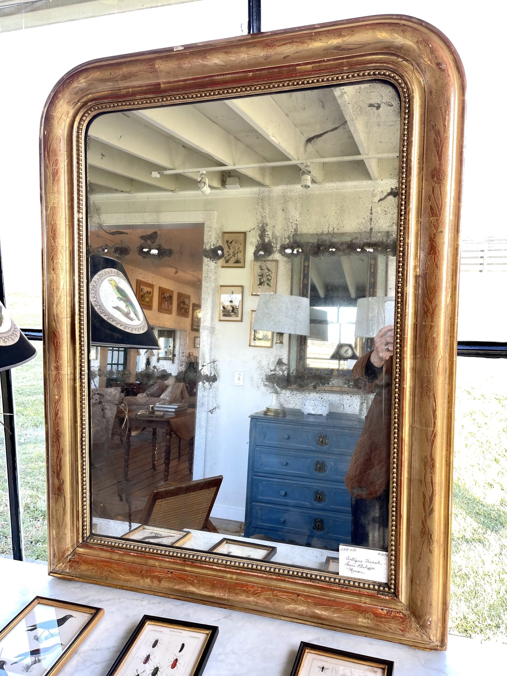 288WDLouisPhilippeMirror2