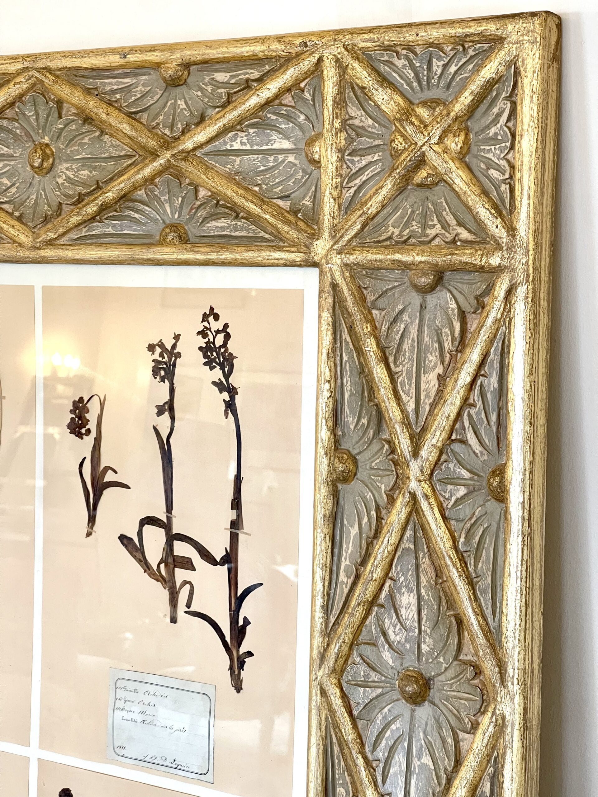 BotanicalCrissCrossFrame3