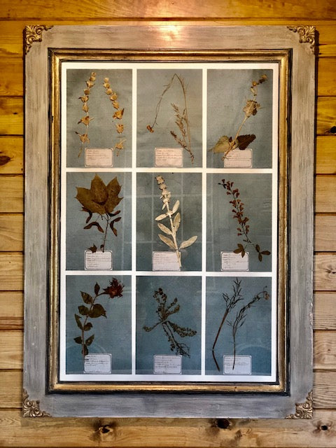 Framed Pressed Flowers1