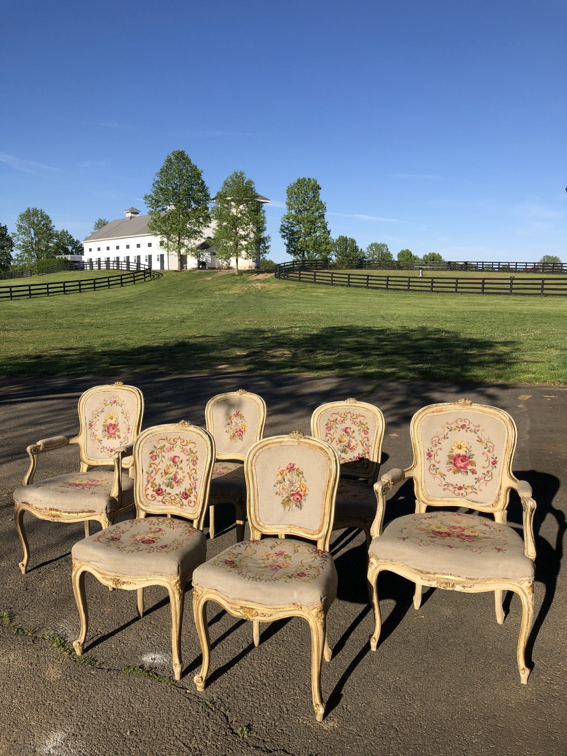 French chairs set 6 flowers
