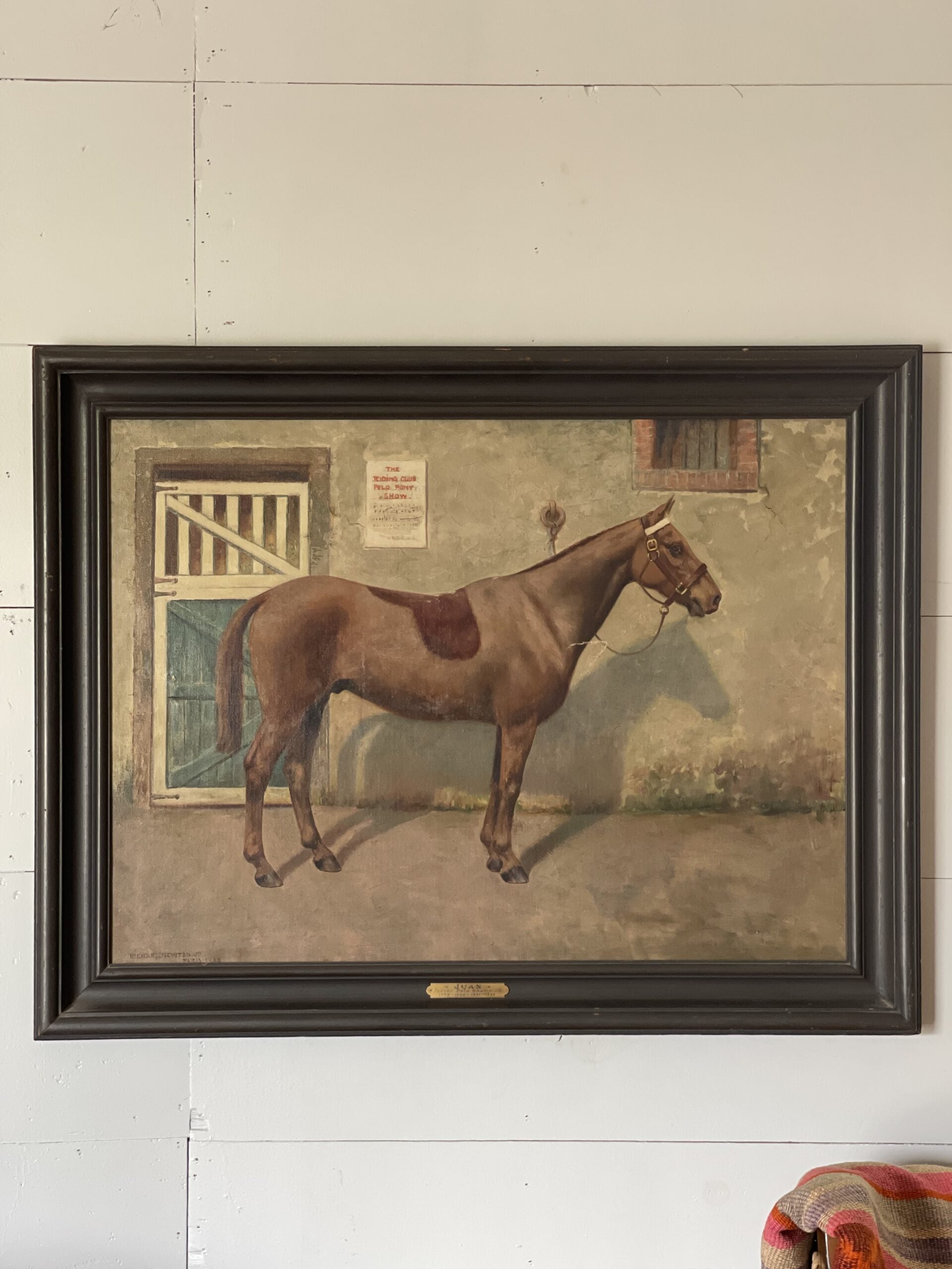 HorsePortrait
