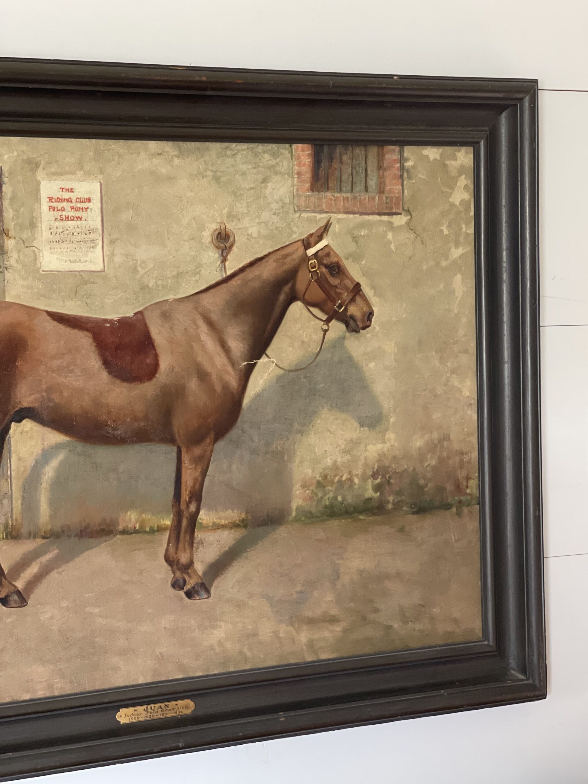 HorsePortrait2