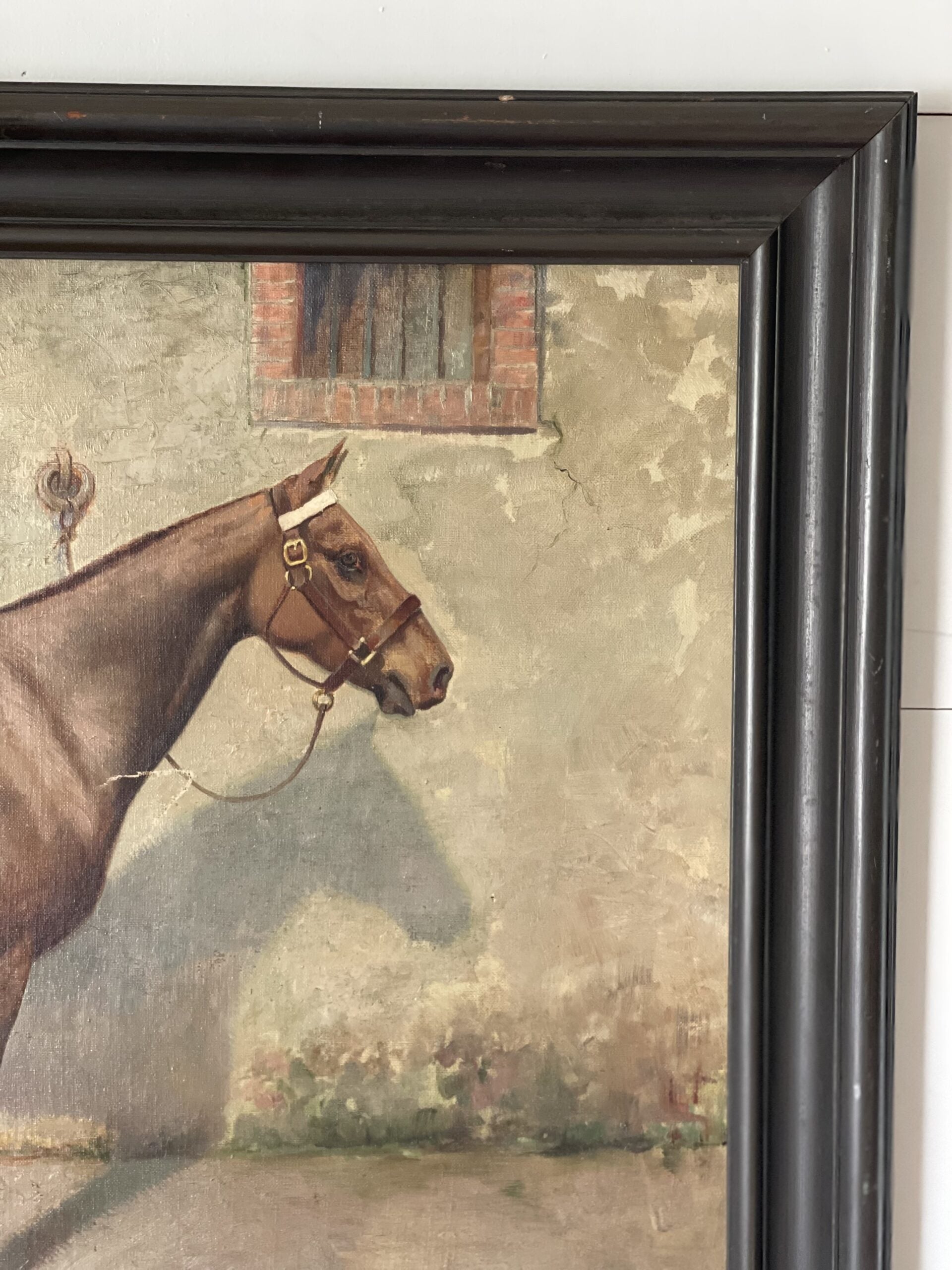 HorsePortrait3