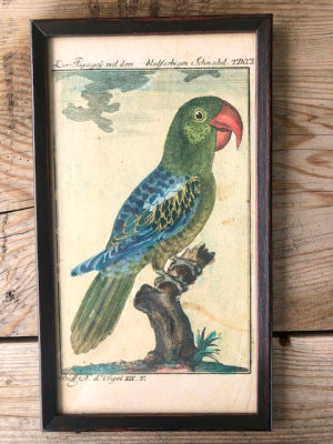 IMG_7022.jpg-nggid03417-ngg0dyn-480x640x100-00f0w010c010r110f110r010t010