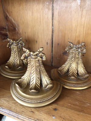 Photo-May-28-10-35-14-AM_baja.jpg-nggid03250-ngg0dyn-480x640x100-00f0w010c010r110f110r010t010