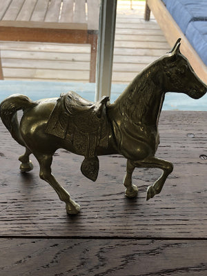 Photo-May-28-10-36-20-AM_baja.jpg-nggid03254-ngg0dyn-480x640x100-00f0w010c010r110f110r010t010