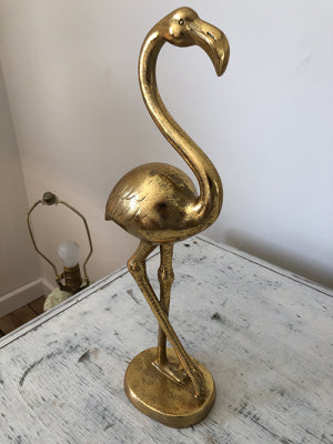 Photo-May-28-10-53-49-AM_baja.jpg-nggid03264-ngg0dyn-480x640x100-00f0w010c010r110f110r010t010