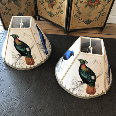 Photo-May-28-11-04-36-AM_baja.jpg-nggid03315-ngg0dyn-480x640x100-00f0w010c010r110f110r010t010