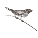 The Paradise Antiques logo