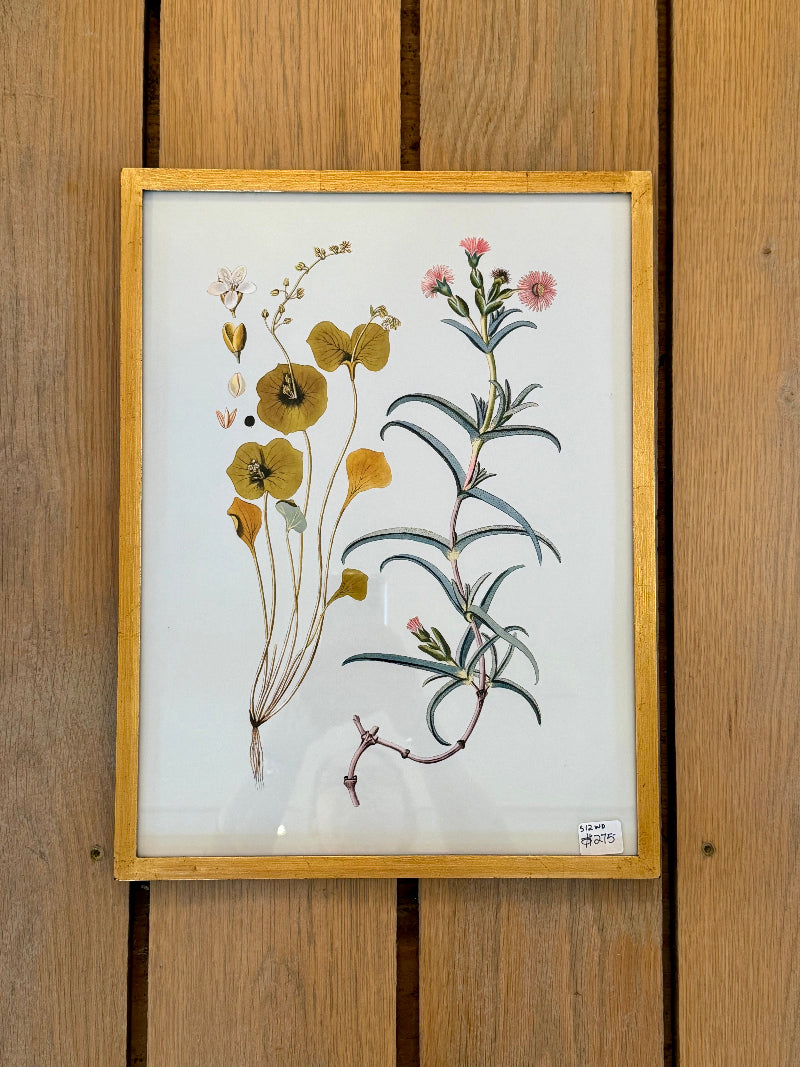 Danish Botanical Floral Print