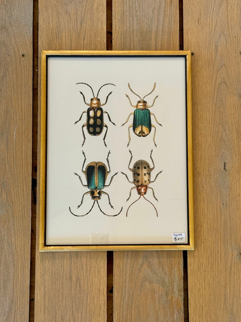 Danish Botanical Print