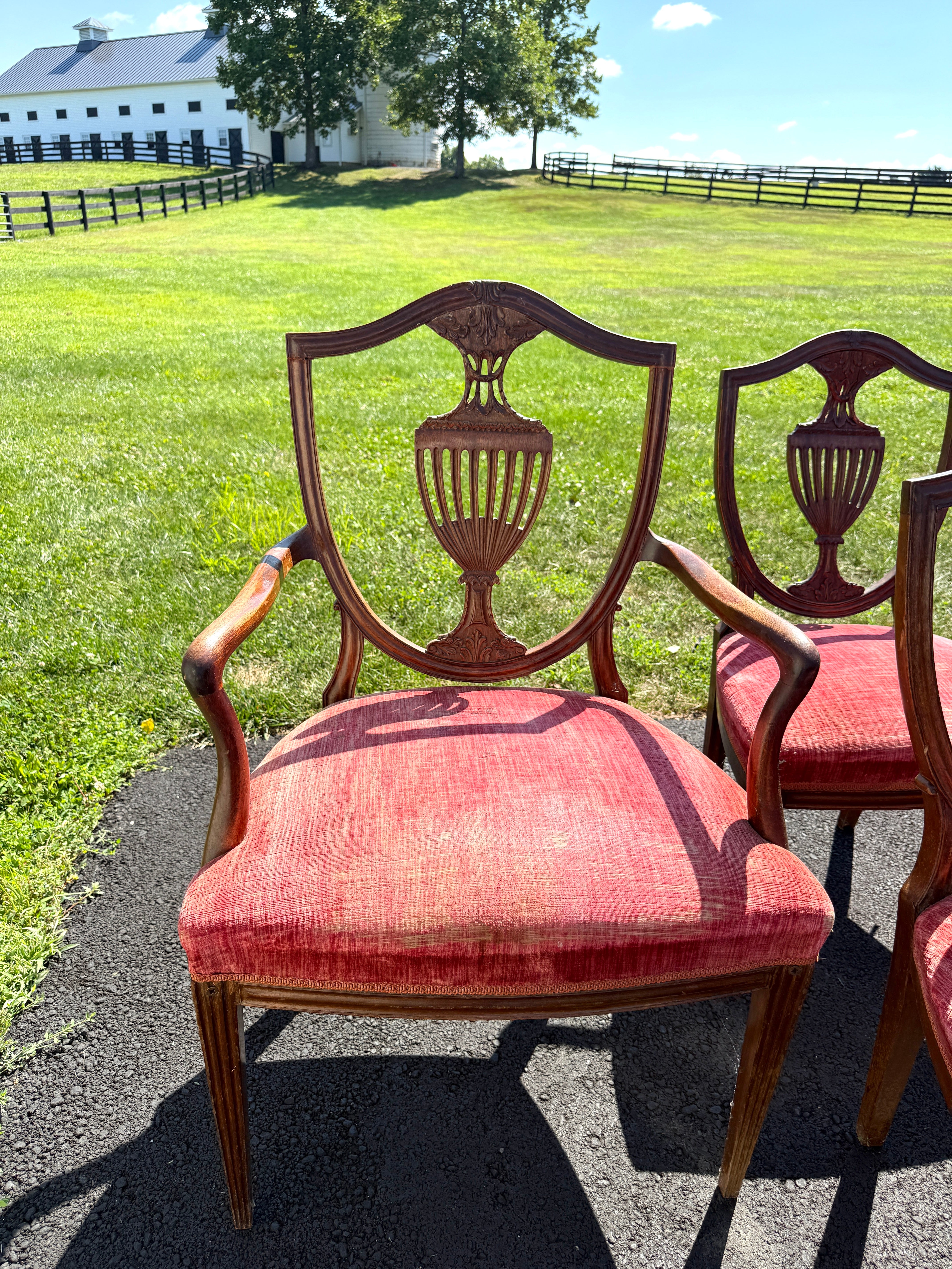 Antique English Dining Chairs Hepplewhite Style